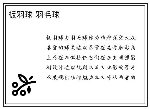 板羽球 羽毛球