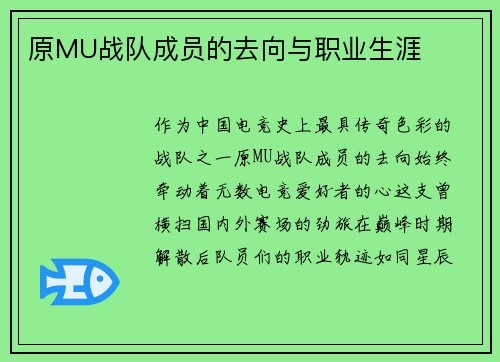 原MU战队成员的去向与职业生涯