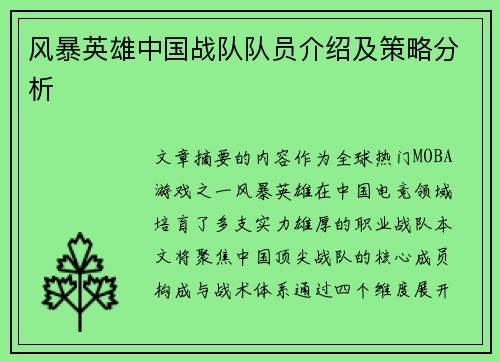 风暴英雄中国战队队员介绍及策略分析
